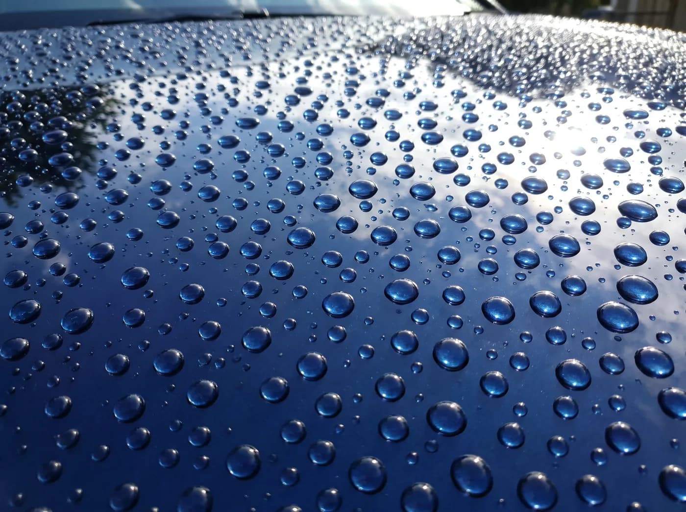 Water beading on a ceramic-coated bonnet